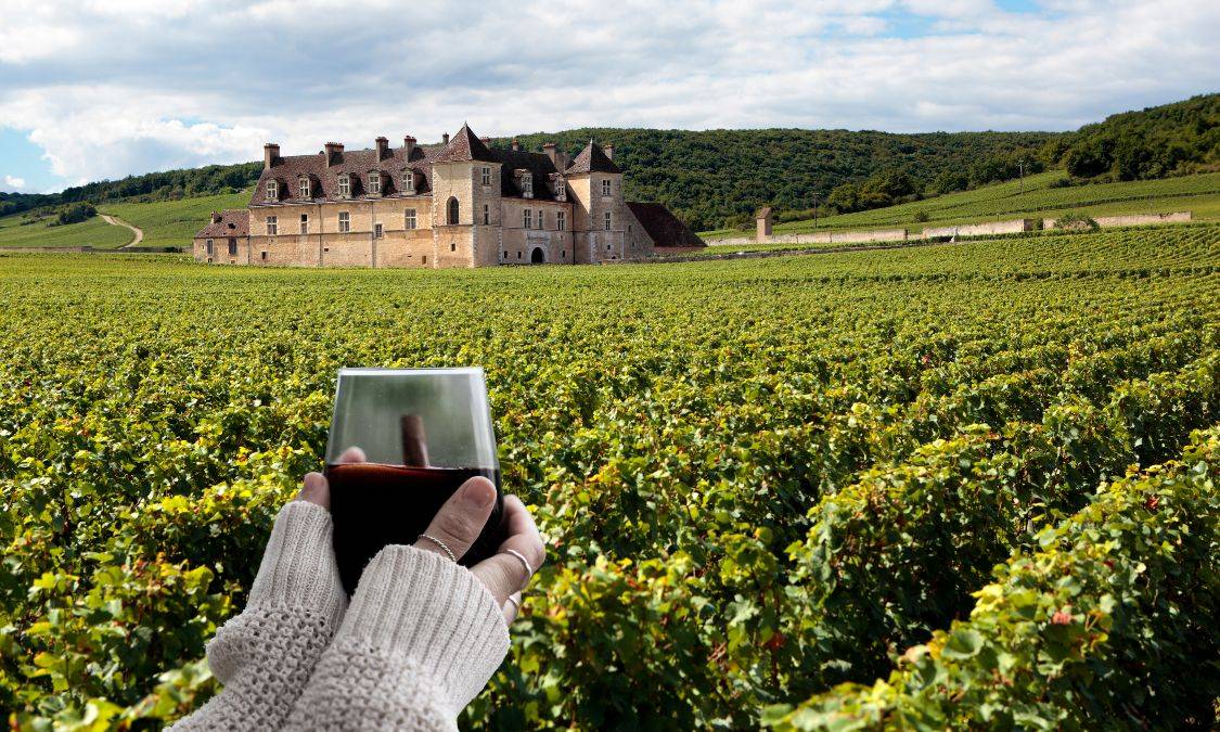 "Acordo Mercosul-UE: Impactos no Preço e Diversidade dos Vinhos no Brasil"