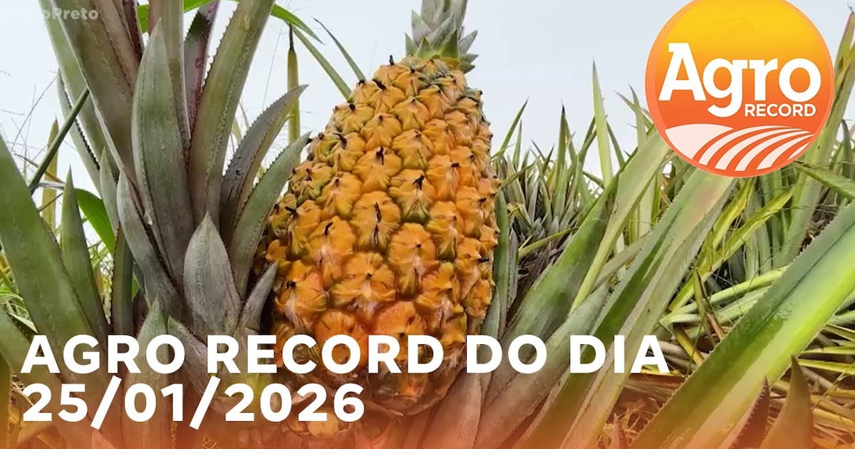 "Record Rio Preto: Últimas Atualizações e Conexão nas Redes Sociais – Acesse Agora!"