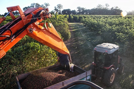 BRDE Investe R$ 1,26 Bilhão no Agronegócio Paranaense em 2025: Fortalecimento e Sustentabilidade na Agricultura Local