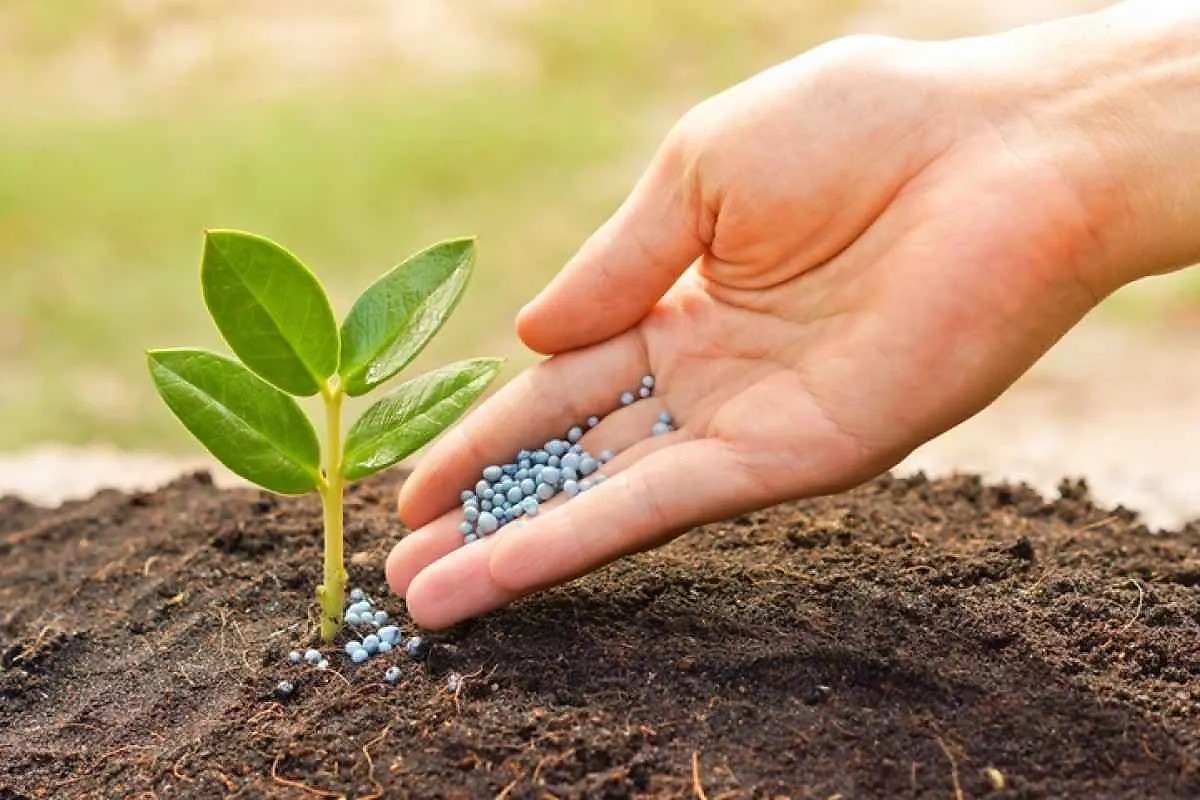 Novo Recorde: Importações de Fertilizantes no Brasil Alcançam 45,5 Milhões de Toneladas e Impulsionam Agricultura em 2025