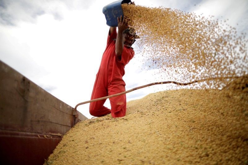 Brasil Caminha para Recorde na Produção de Soja em 2026: Expansão e Impacto no Agronegócio Global