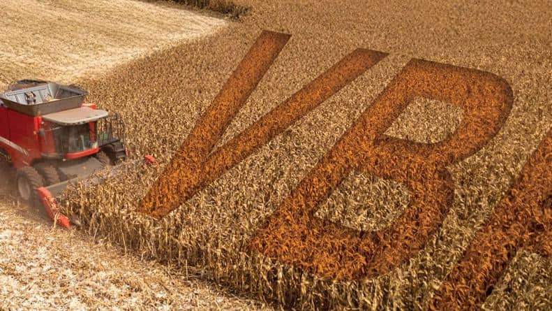 VBP da Agropecuária atinge R$ 1,4 trilhão em maio; soja lidera a receita e quedas de preços pressionam lavouras