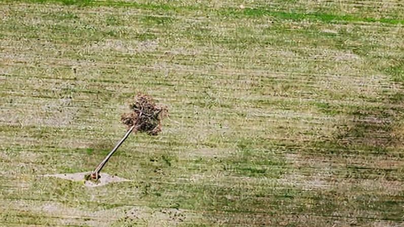 Desmantelamento do Moratório da Soja na Amazônia: Impactos no Desmatamento e no Varejo Europeu