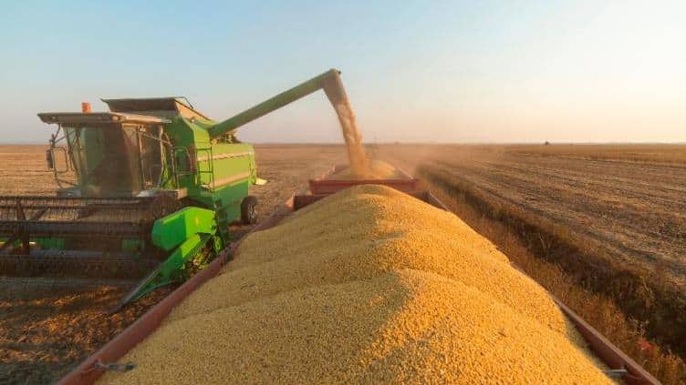 Crédito agrícola pode impactar o crescimento das empresas com novas regras do Plano Safra 26/27