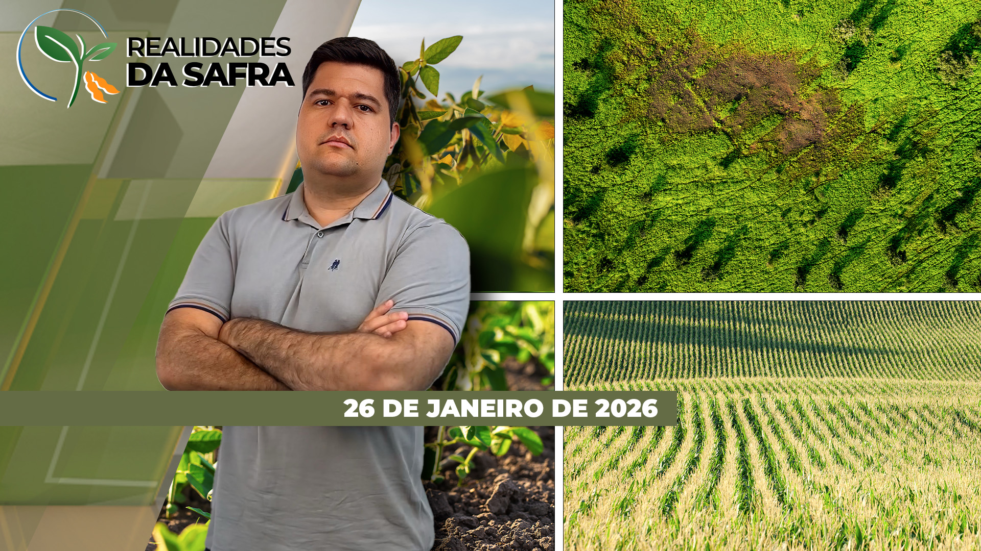 Colheita de Soja em Destaque: Potencial em Diamantino e Desafios em Ipameri; Monitoramento Intenso da Cigarrinha do Milho em Uberaba