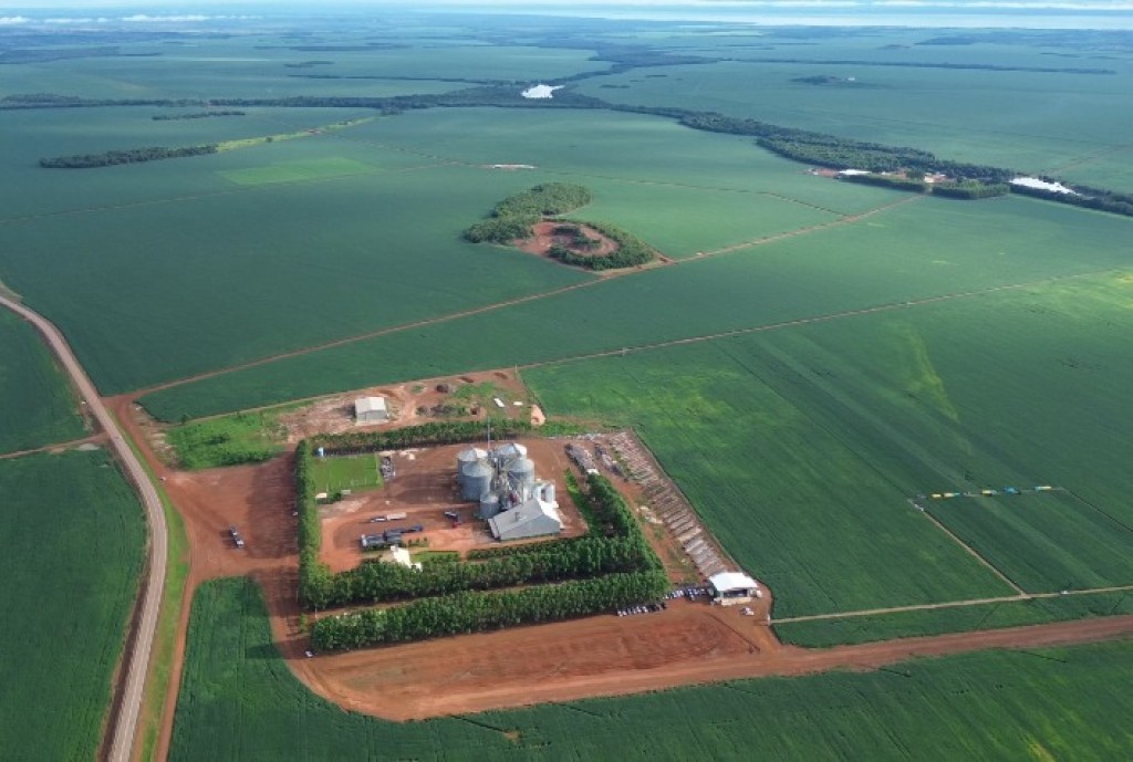 "Abertura da Colheita da Soja 2025/26: Tocantins em Destaque no Agronegócio Brasileiro"