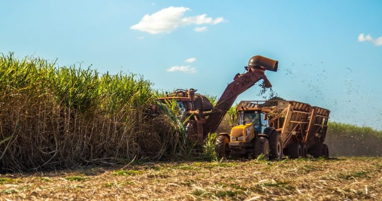 Agronegócio Paulista registra superávit de US$ 8,37 bi em cinco meses de 2026; açúcar domina 95% do complexo sucroalcooleiro e exportações atingem US$