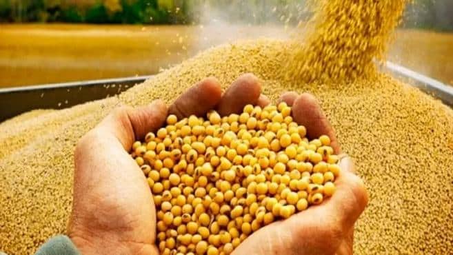 Biotecnologias de soja da Bayer contribuem para o recorde histórico de produtividade média do CESB