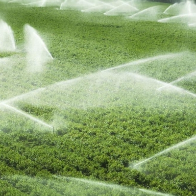 Fertilizantes: Normalização da Oferta Global é Lenta; Fretes e Seguros Não Acompanham a Recuperação das Commodities