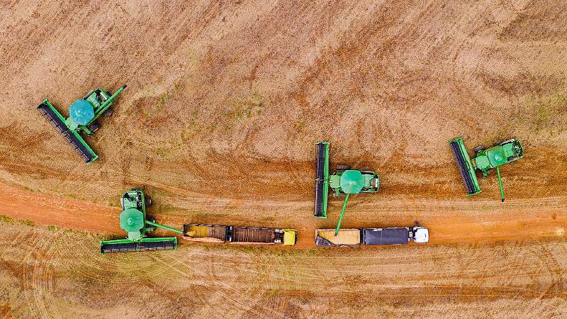 Incentivo Fiscal de 3,5 Milhões de Toneladas: Regras Atualizadas para a Soja de Mato Grosso em 2026