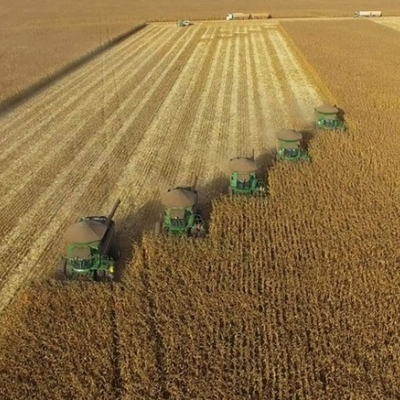 Milho no Brasil 2025/26: estoques elevados, consumo de etanol em alta e competição acirrada de exportação com EUA e Argentina