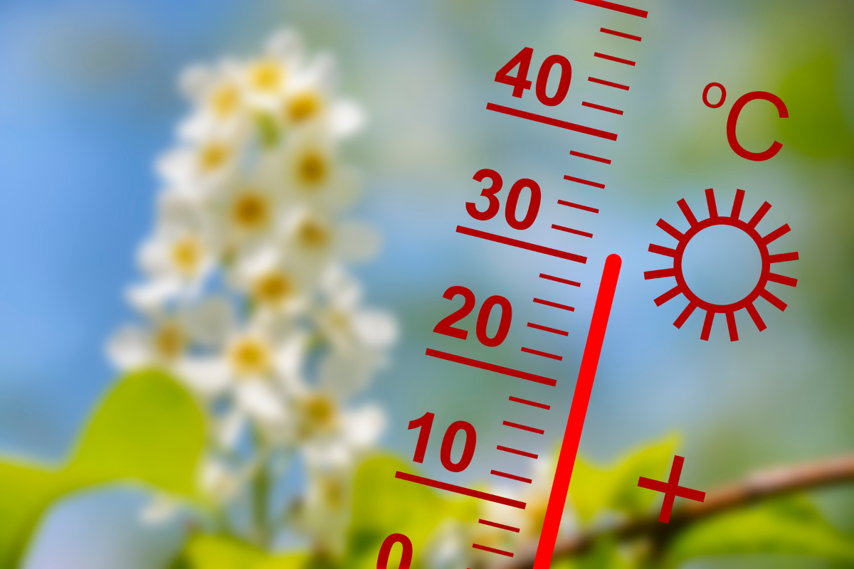 Onda de Calor Intensa Ataca Sul e Mato Grosso do Sul: Termômetros Atingem Recordes Históricos