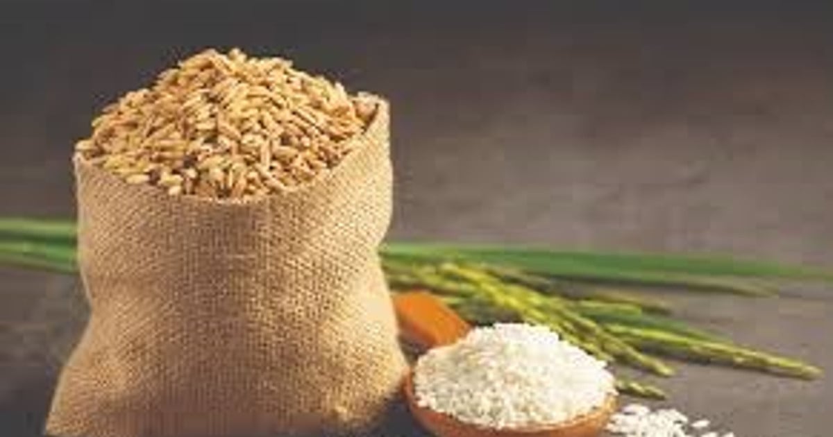 Mercado interno do arroz permanece estável em 11 de junho; arroz cru recua levemente no Delta do Mekong