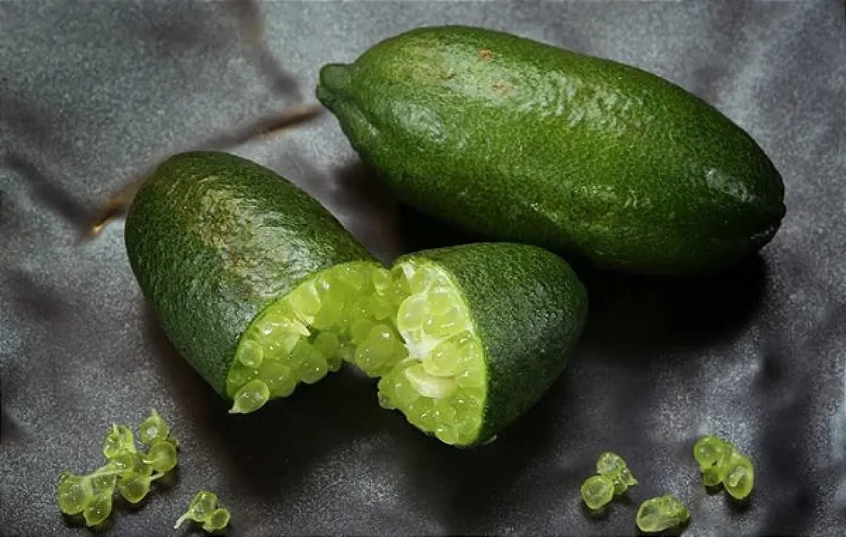 Faustrime: nova cultivar de limão caviar brasileira (finger lime) do IAC impulsiona a citricultura de alto valor