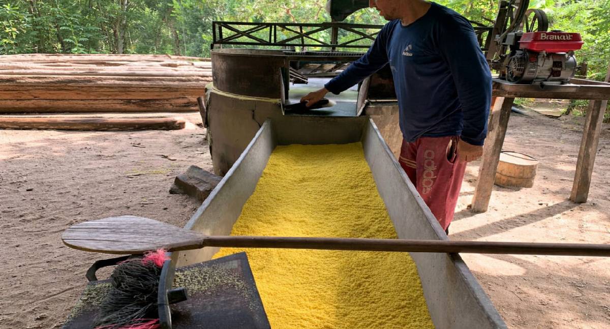 Crédito Rural Sem Juros: Pronaf B Fortalece Agricultura Familiar em Rondônia