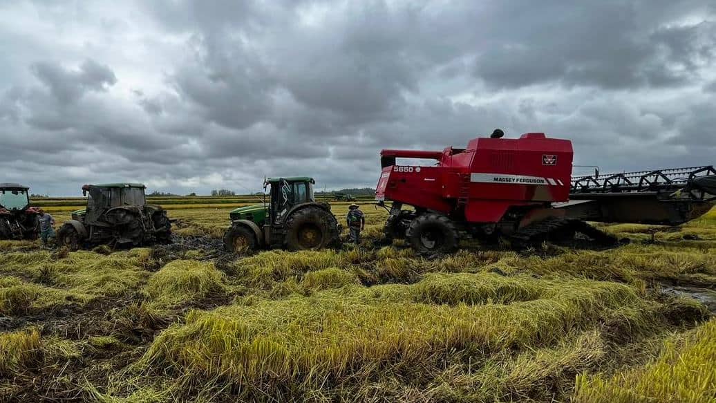 El Niño pressiona o agro: margens apertadas, fertilizantes em alta e safras 2026/27 em risco