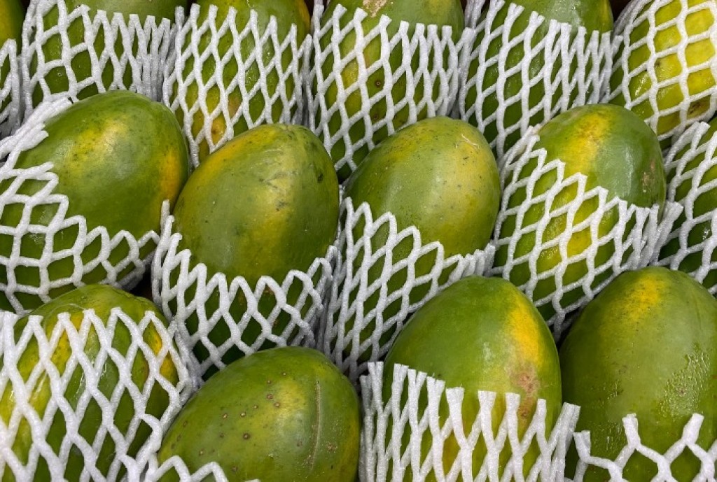 "Mercado do Mamão Em Queda: Aumentos na Oferta Afetam Preços em 2026"
