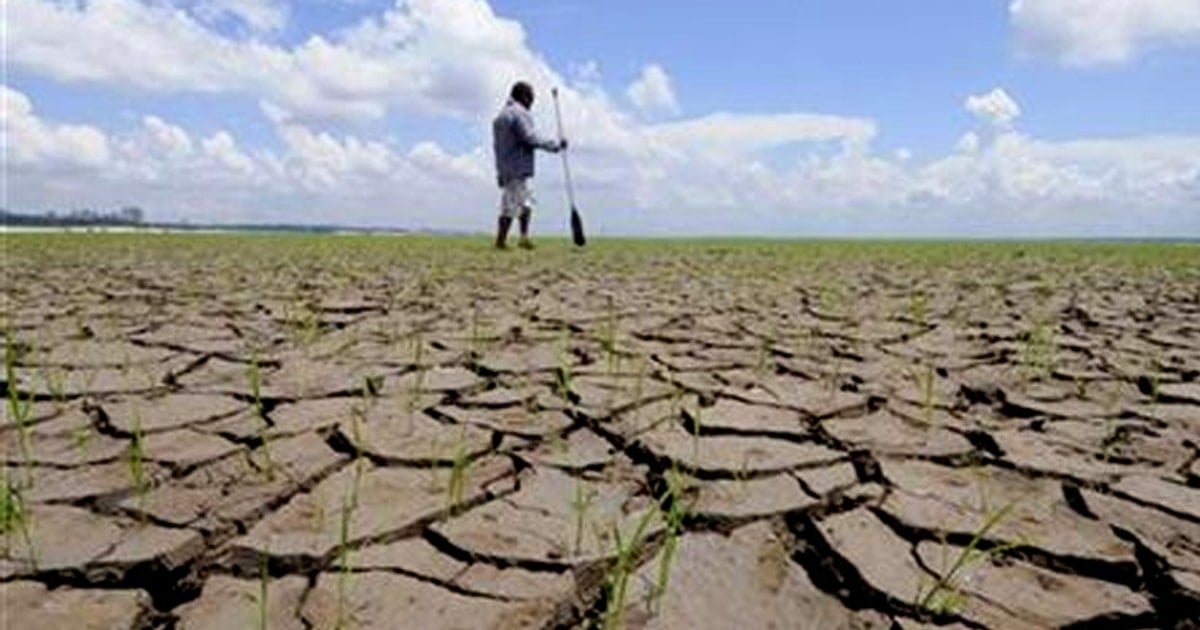 El Niño no Sudeste Asiático: riscos para arroz e óleo de palma, secas e fumaça transfronteiriça elevam custos