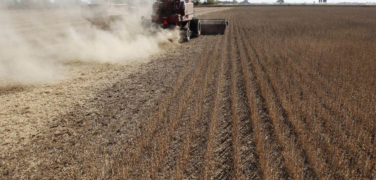 Rabobank e Bayer Unem Forças para Oferecer R$ 1 Bilhão em Crédito ao Agronegócio Brasileiro com Soluções Inovadoras