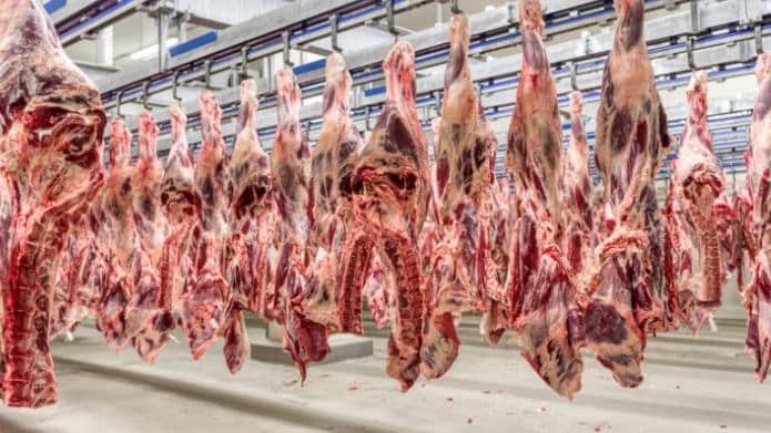 EUA cogitam zerar tarifa de 26,4% sobre a carne bovina brasileira; alívio para exportações e frigoríficos