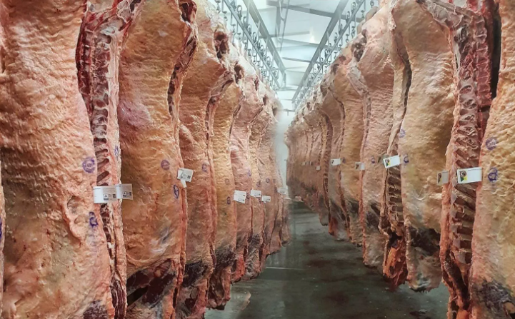 Exportadores de carne pedem R$15 bilhões em linhas de crédito do Plano Brasil Soberano para manter exportações no Golfo Pérsico