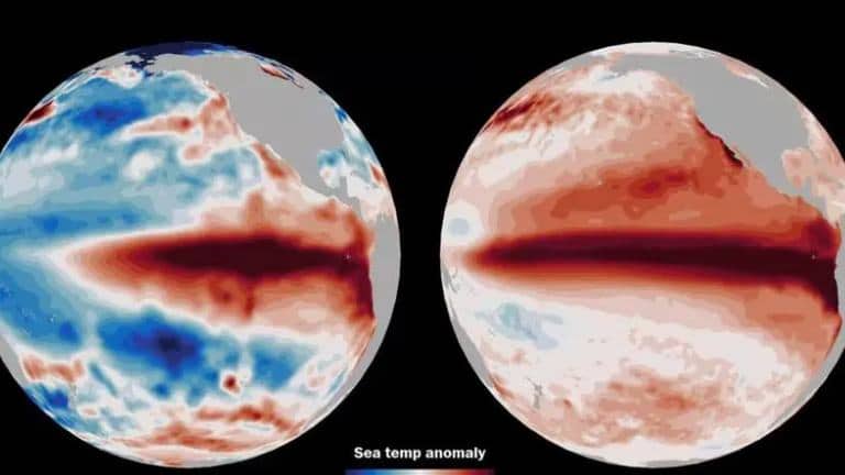El Niño intenso pode pressionar a logística brasileira: Arco Norte responde por 39% das exportações de soja até maio e mudanças no ranking da cana no