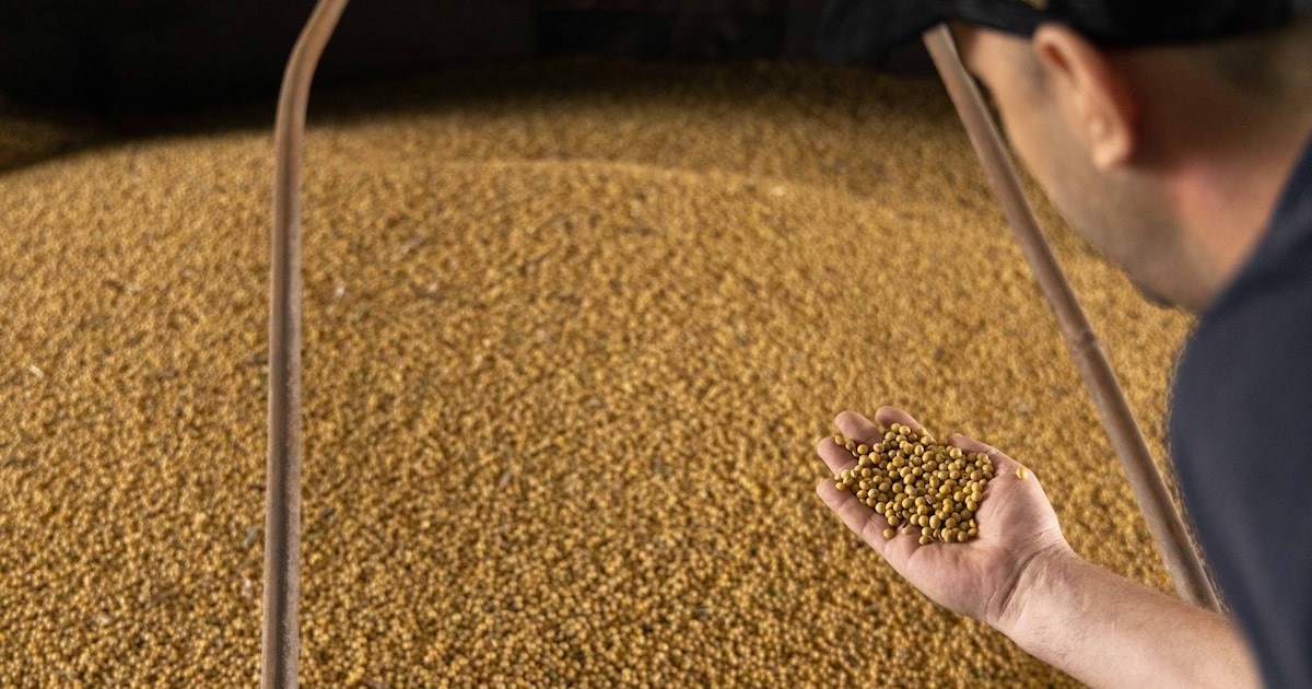 Crédito ao agronegócio em alta: Audax projeta R$ 3 bilhões a R$ 3,2 bilhões e BB amplia financiamentos a biocombustíveis