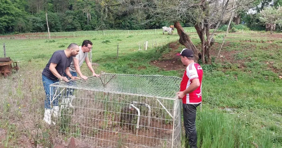 Alerta: Água Subterrânea em Risco nas Bacias do RS - Contaminação e Medidas de Segurança