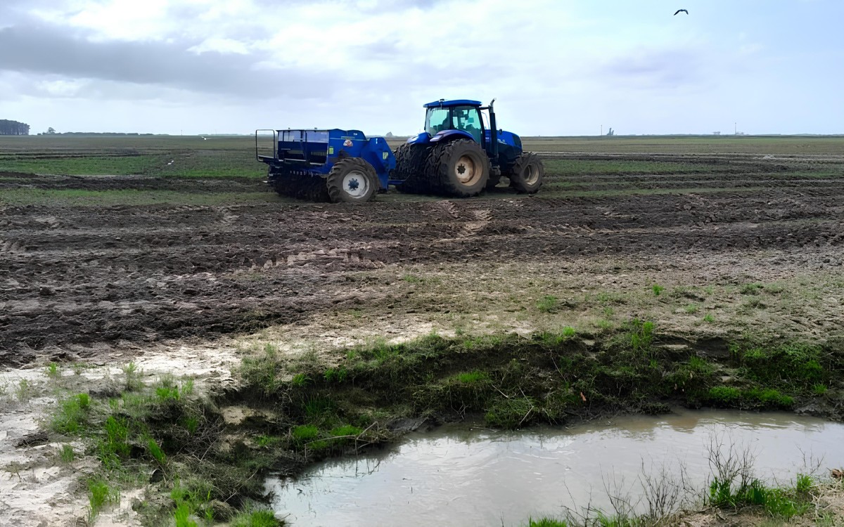Rotação arroz-soja reduz 54% das emissões de gases de efeito estufa no Rio Grande do Sul, aponta Irga