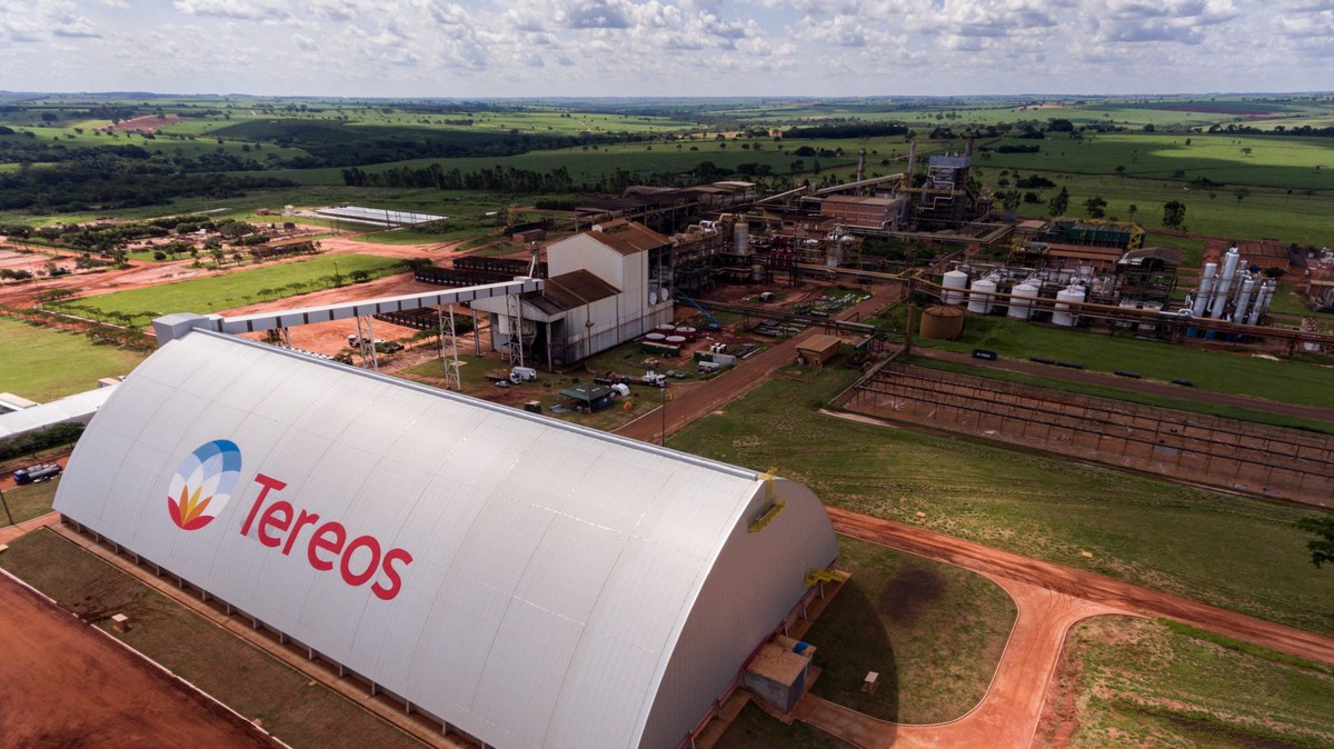 Açúcar: empresa brasileira registra o terceiro melhor resultado da história com hedge de preços e mira a safra 2025/26