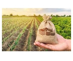 Sicoob Líder em Crédito Rural no Espírito Santo: Cooperativismo Impulsiona Agro 2025/2026