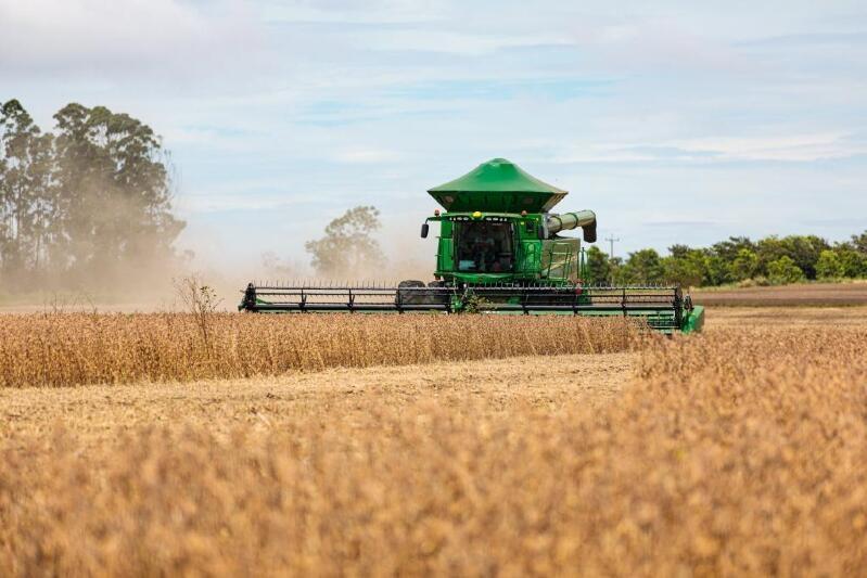 Soja no MT 51,56 milhões de toneladas e produtividade de 66,03 sacas/ha,