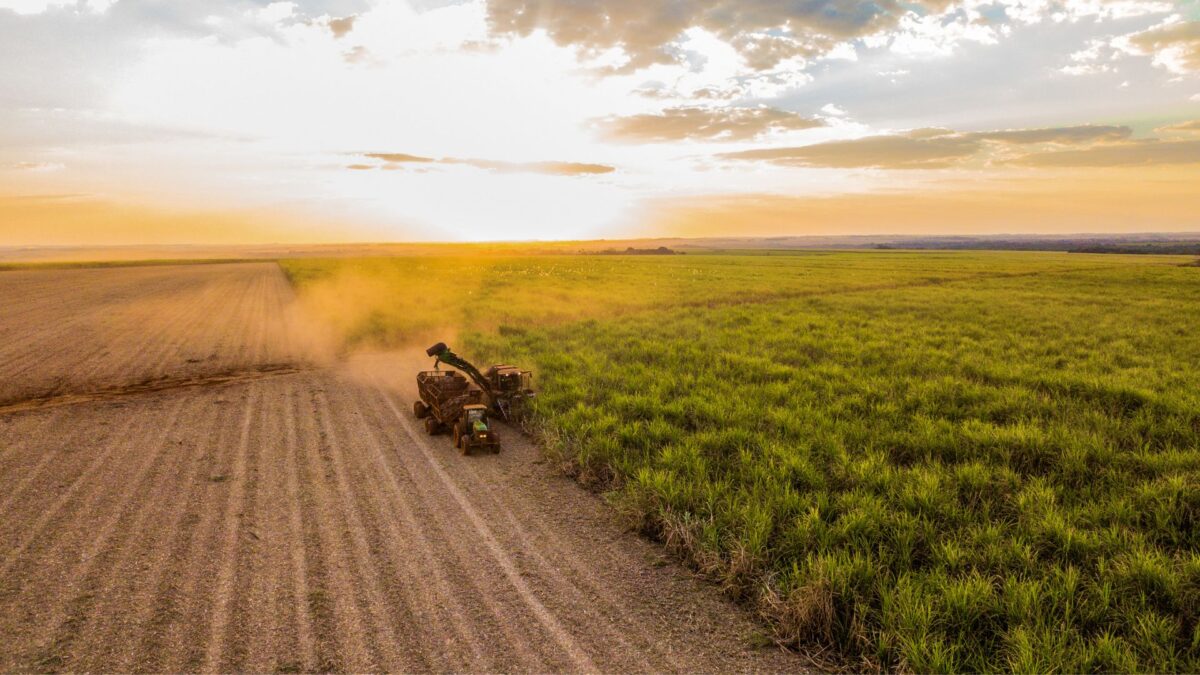"Reforma Tributária: Impactos Cruciais no Setor Sucroenergético e Bioenergia Sustentável no Brasil"
