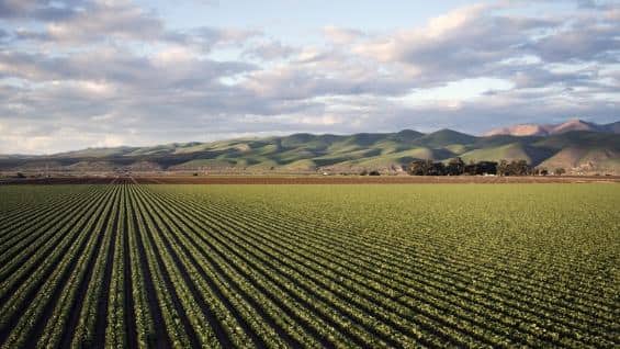 Safra em alta reforça a importância dos chicotes elétricos nas máquinas agrícolas