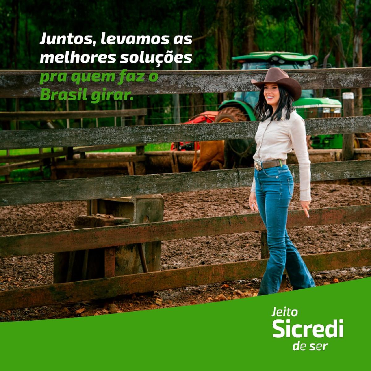 Soluções Sicredi Para Uma Colheita Eficiente: Crédito, Segurança e Planejamento no Agronegócio em Mato Grosso e Rondônia