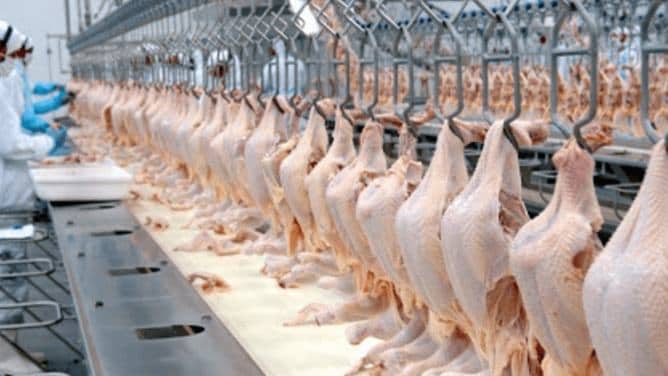 Brasil negocia com a UE protocolo de transição para antimicrobianos na produção de carnes e mantém exportações brasileiras