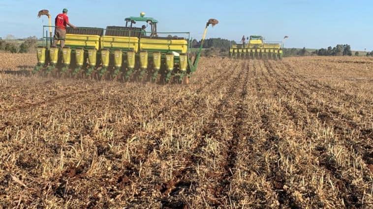Agronegócio brasileiro: capacidade de superação e muita resiliência