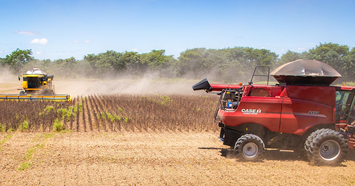 Crédito rural em Minas Gerais cai 14% nos desembolsos da safra 2025/26, com juros altos, aponta Seapa