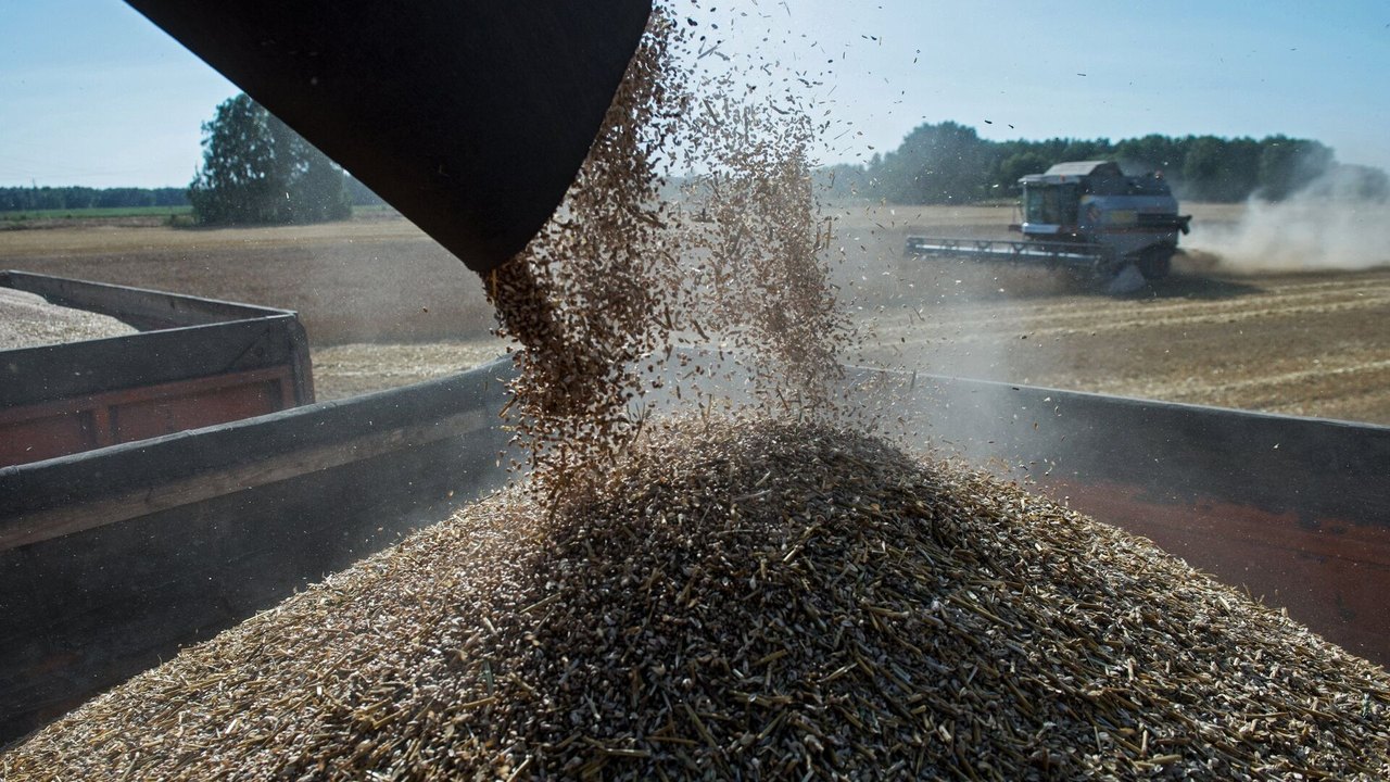 El Niño e instabilidade no Estreito de Ormuz impulsionam importações russas de alimentos pela Ásia, África e Oriente Médio
