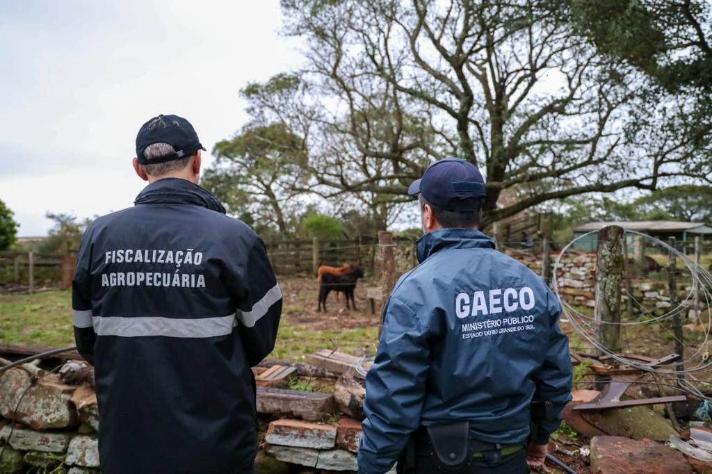 Operação Boi Fantasma: Lavagem de Dinheiro com Gado de Papel e GTAs Fictícias na Fronteira Oeste, Investigação da GAECO