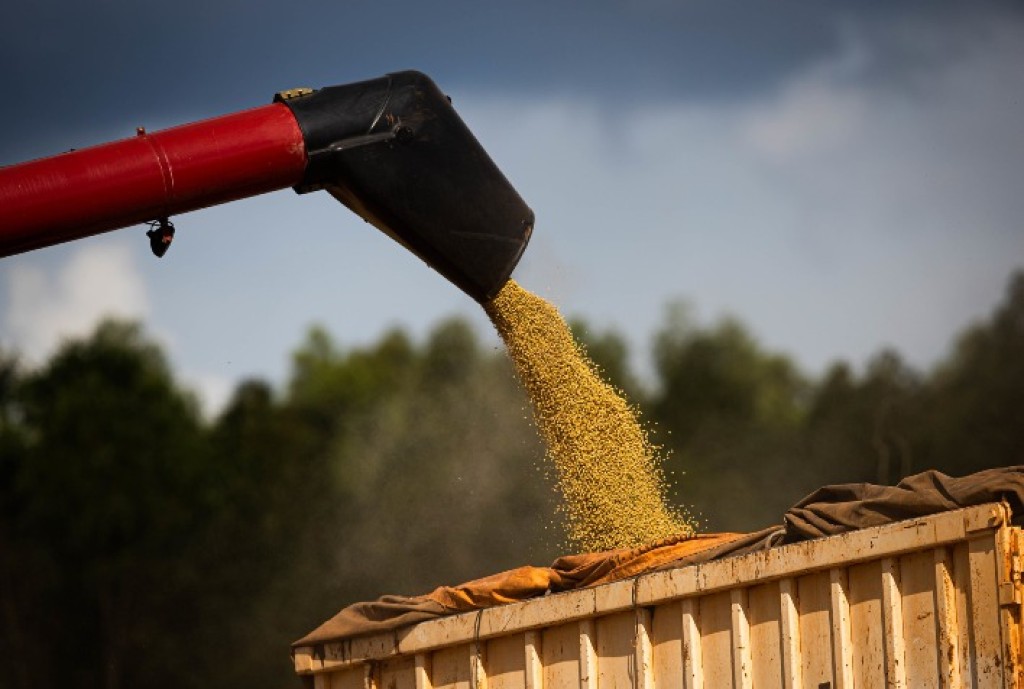Produção de Soja no Brasil Bate Recorde e Impulsiona Crescimento do Agronegócio em 2026