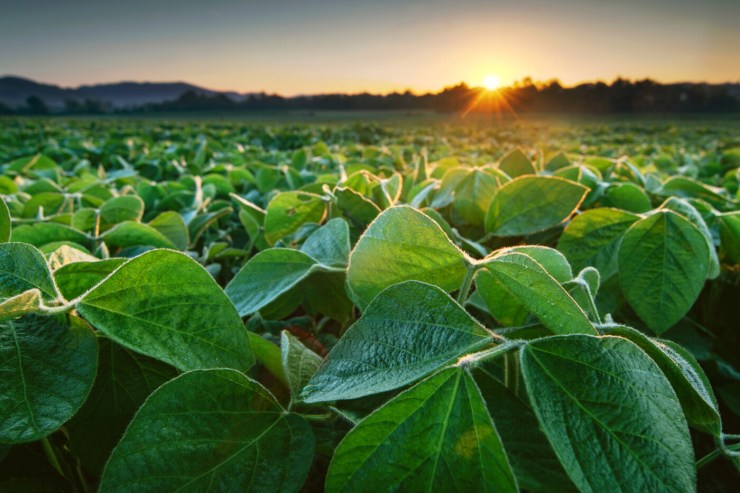 "O Impacto da Legislação e Aumento Tributário no Agronegócio: Produtores Rurais e Sistema Faep em Alerta"