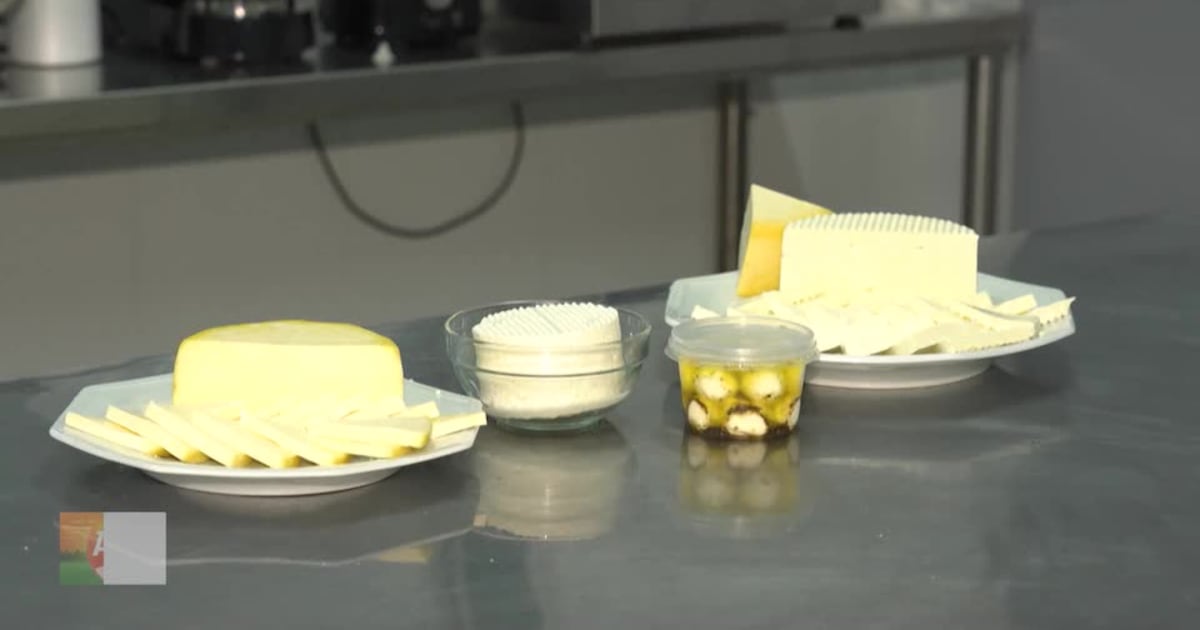 "Emater Oferece Curso de Fabricação Artesanal de Queijos para Produtores Rurais no Dia Mundial do Queijo"