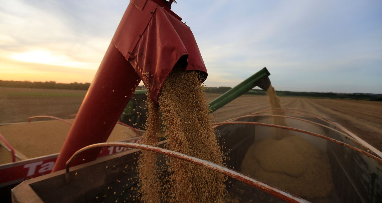 Boa Safra (Soja3): Potencial de Valorização ou Armadilha em Meio à Crise do Agronegócio?