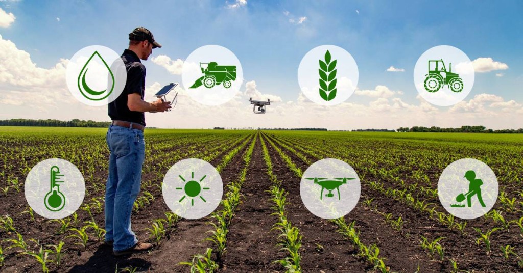 Desempenho do Agro Paulista em 2025: Resiliência e Inovação nos Setores de Carne e Café