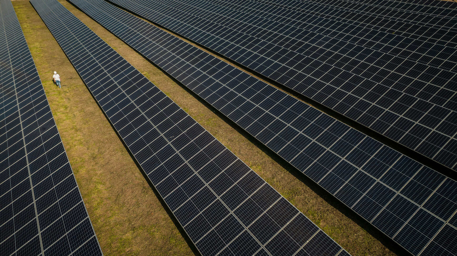 Investimento em Energia Solar Atinge R$ 9,6 Bilhões no Agronegócio e Empresas em 2025: Sustentabilidade e Eficiência em Alta