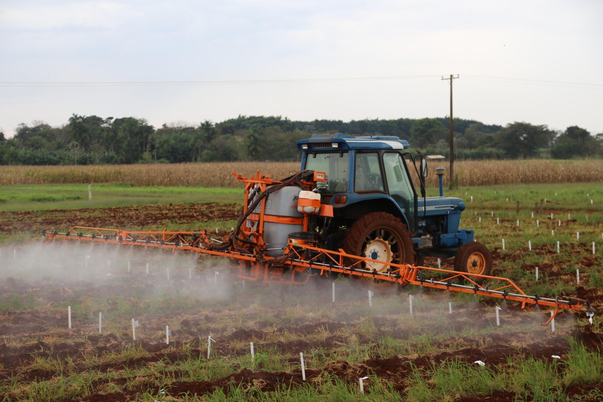 Frete alto e Selic em alta pressionam margens e endividamento no agronegócio brasileiro