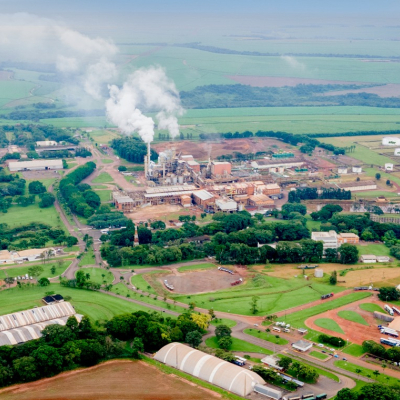 "Zilor Inova com Programa de Diversidade e Inclusão: Sucesso na Equidade de Gênero para 2025"