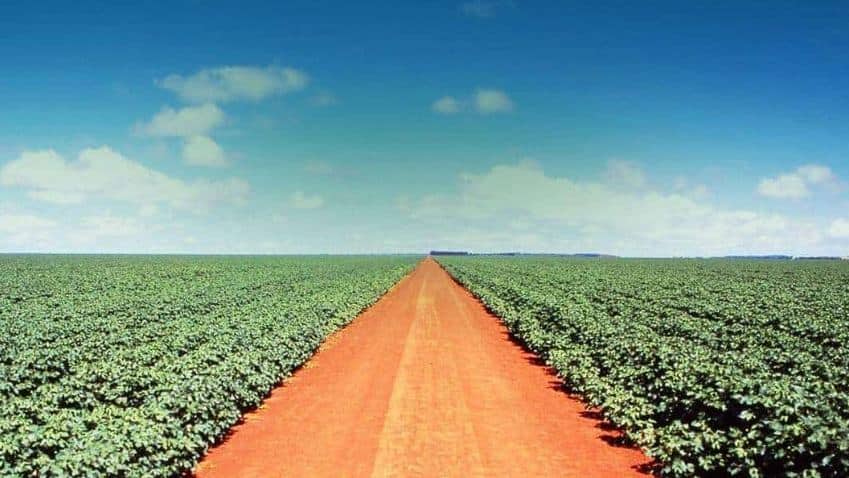 SLC Agrícola encerra 1T2026 com lucro líquido de R$236,08 milhões, queda de 53,8%.