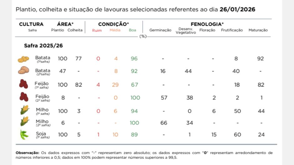 Desafios e Oportunidades na Colheita de Milho e Soja no Paraná em 2026: Clima e Mercado em Foco